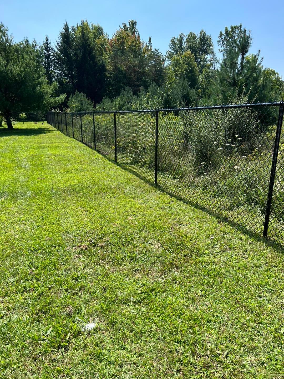 a chain link fence surrounds a lush green field.
