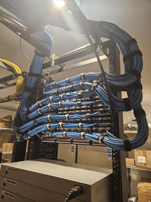Network rack with dense blue and black Ethernet cables in a server room.