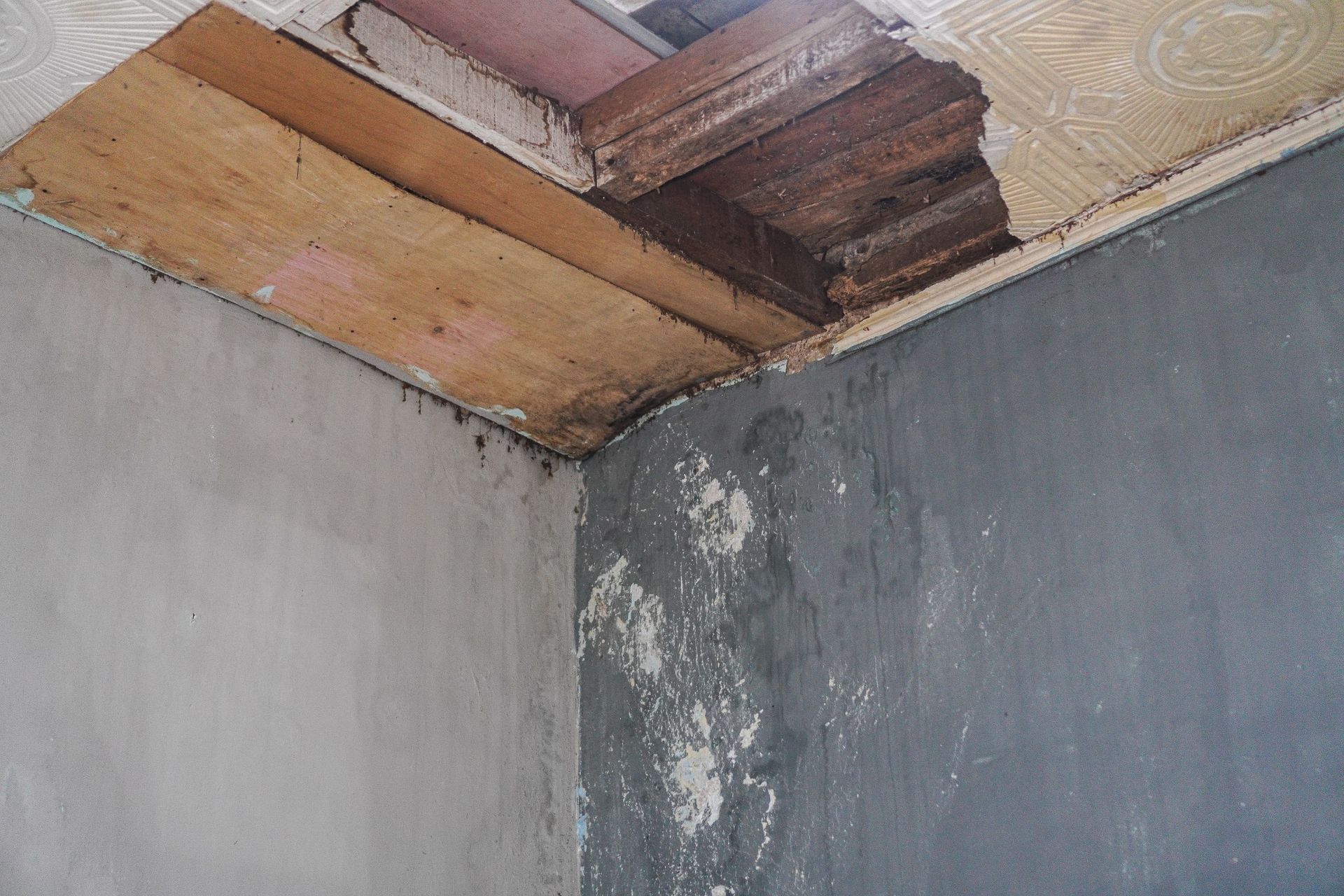 Water Damage Restoration