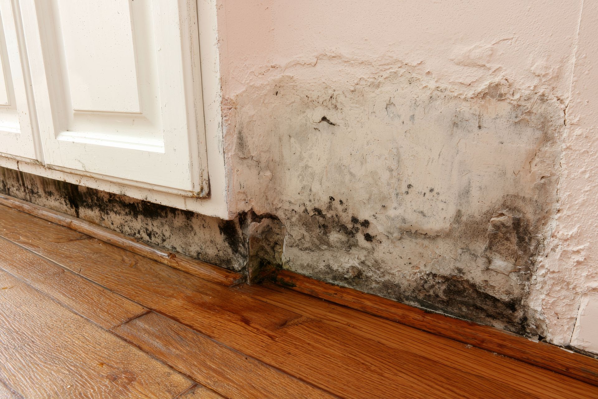 Black mold and water stains creeping up a cracked wall by a white door frame above wooden flooring.