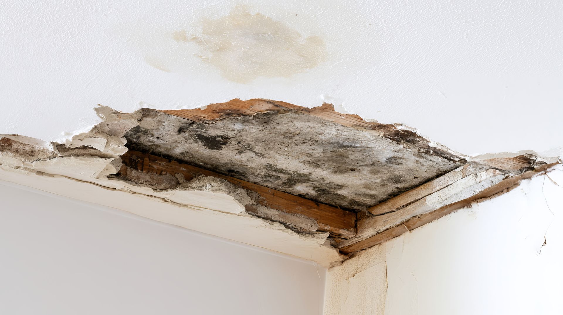 Water-damaged ceiling with peeling paint, exposed rotted wood, black mold and brown water staining.