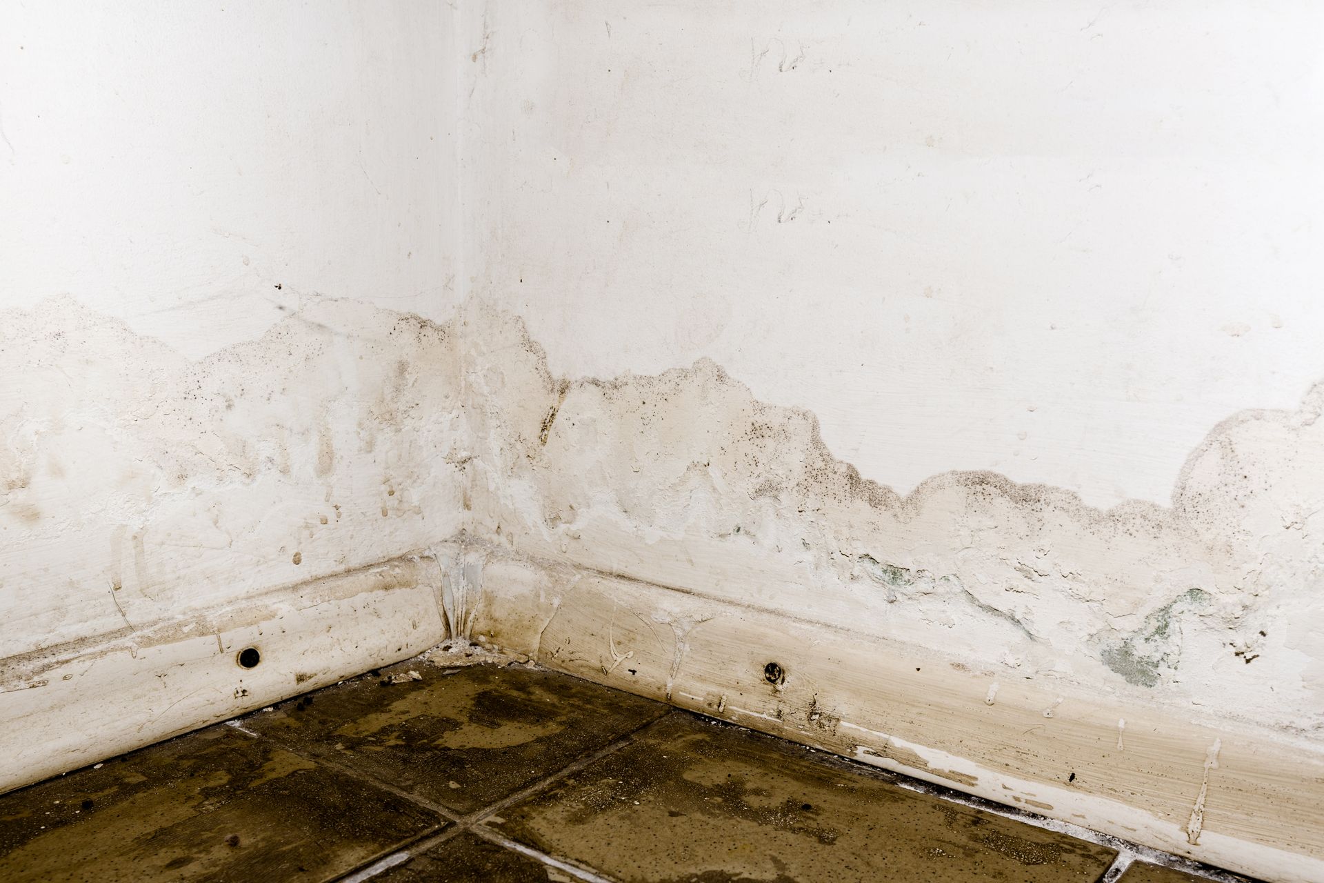 Wall with severe water damage and stained floor tiles. Wall with severe water damage and stained floor tiles.