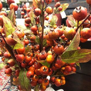 Orange-red berries and green leaves on branching stems in a close-up floral arrangement