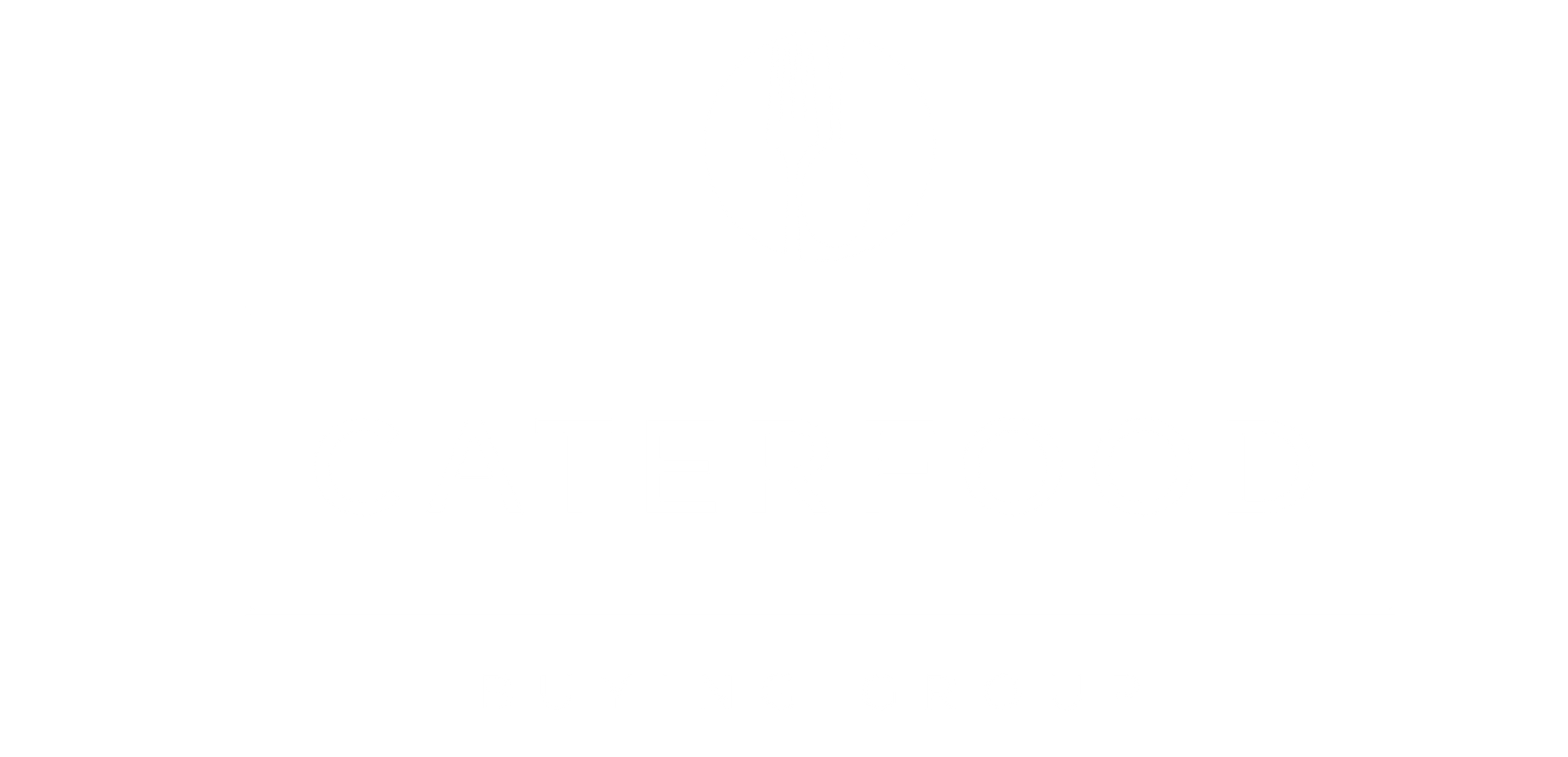 A white background with a few lines on it