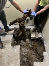 Workers lifting a mud-covered animal from a muddy stairwell inside a concrete room
