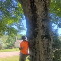 Person in orange shirt standing beside a large tree in a sunny park