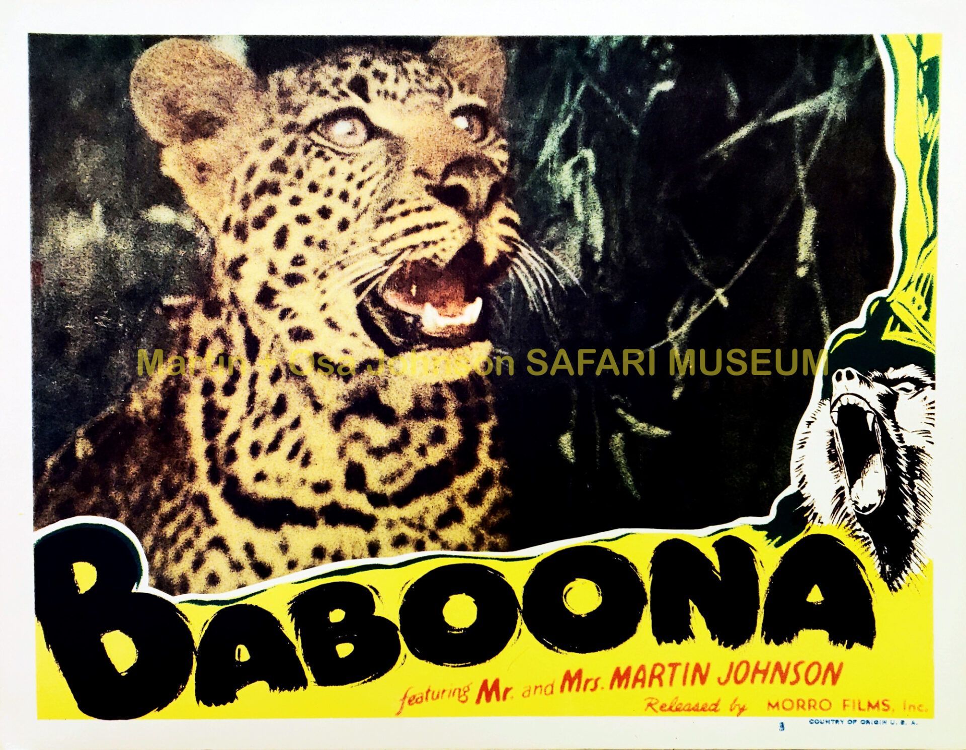 Vintage film poster for