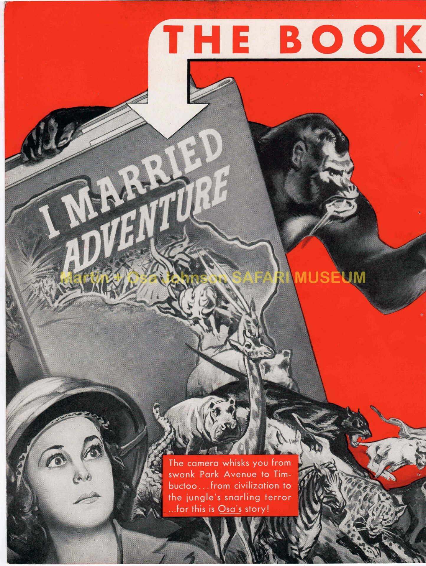 A book cover titled I Married Adventure features a woman in a pith helmet beside a gorilla over a collage of jungle animals.