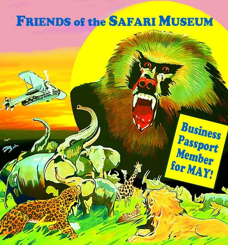 A stylized poster for Safari Museum featuring a large baboon, animals, and an airplane at sunset with May membership text.