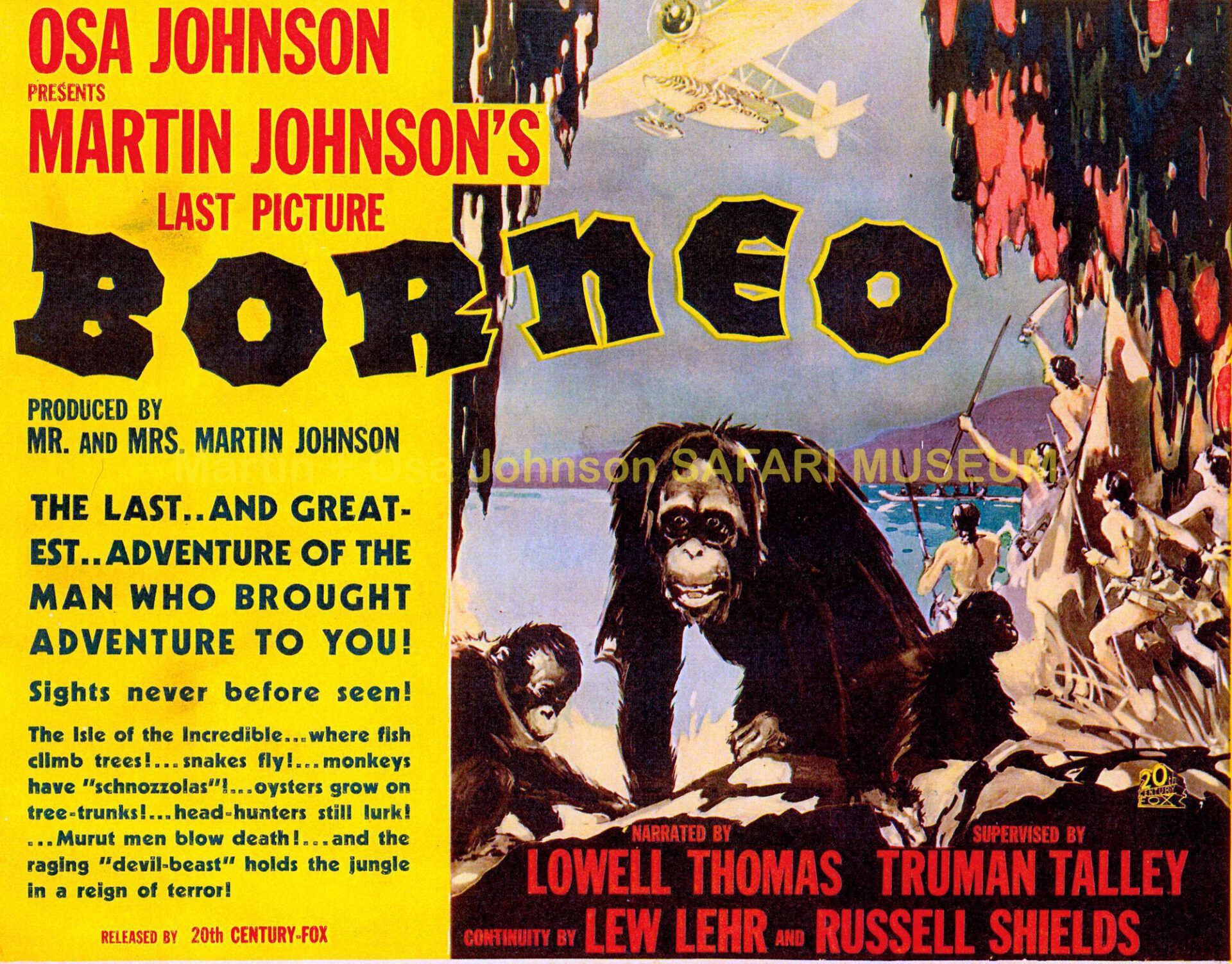 A vintage movie poster for the film Borneo featuring illustrations of primates in a jungle with a plane flying overhead.