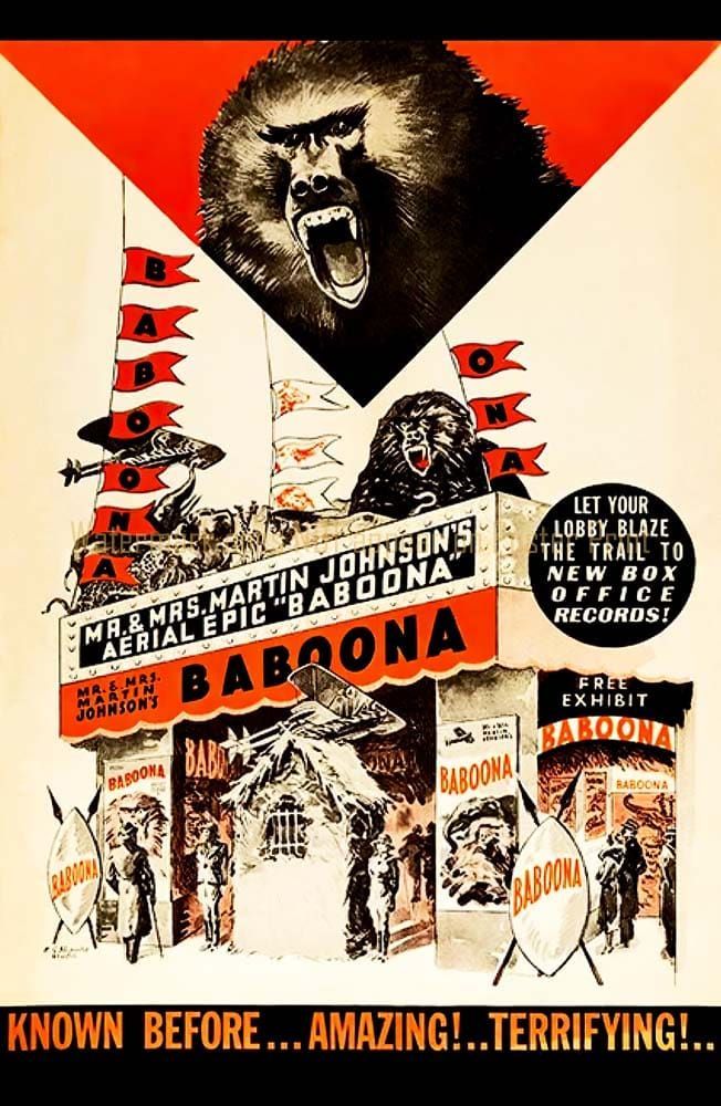 A vintage movie poster for