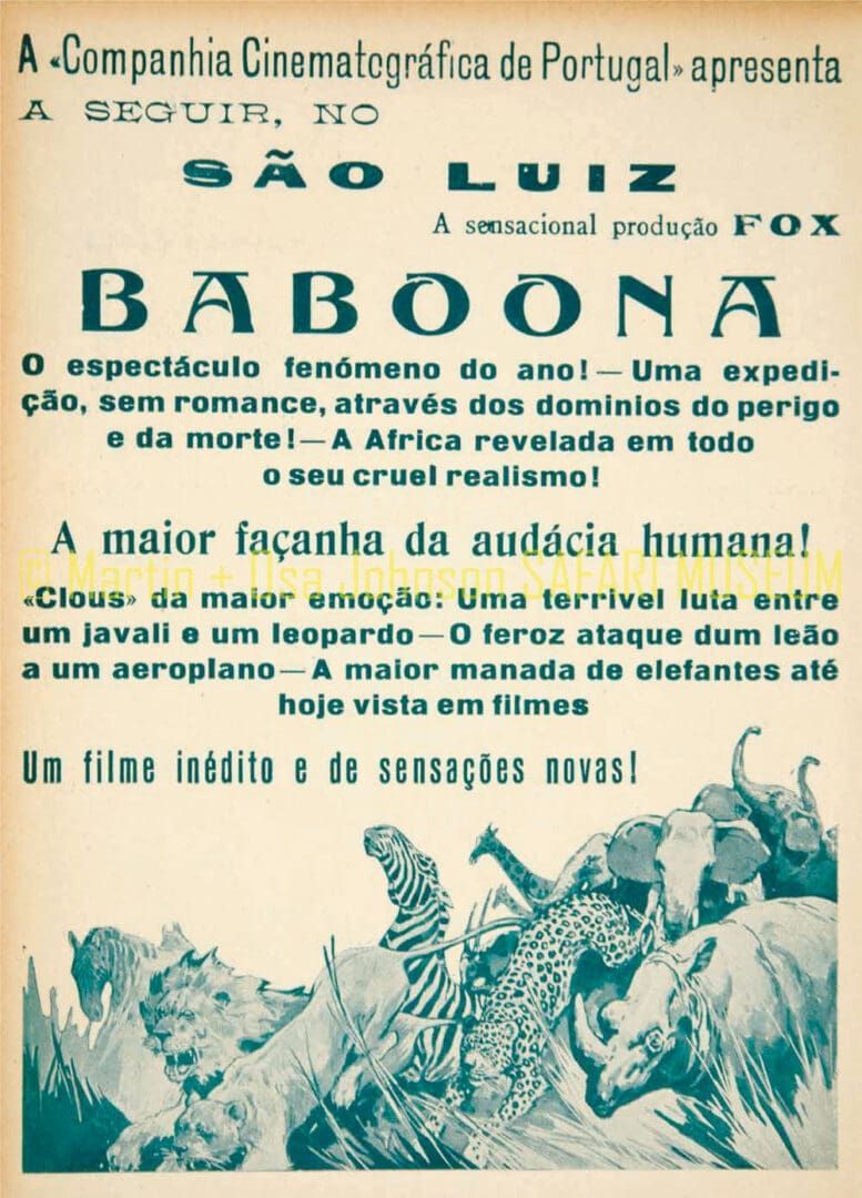 Vintage poster for the film
