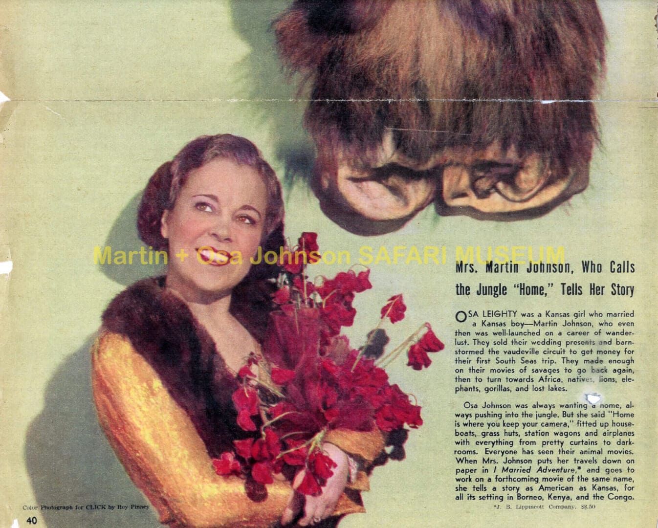 A vintage magazine page shows a smiling person holding red flowers beside a large, furry animal head mounted on a wall.