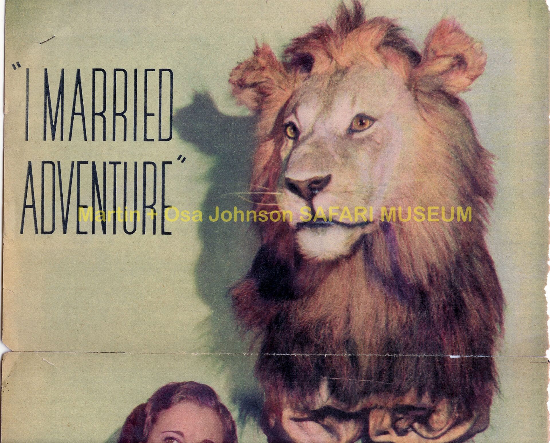 A vintage promotional graphic for the Martin and Osa Johnson Safari Museum featuring a lion head and the title text.