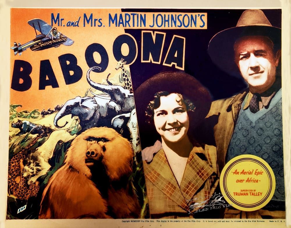 Movie poster for 