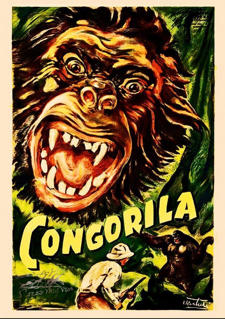A vintage movie poster for 