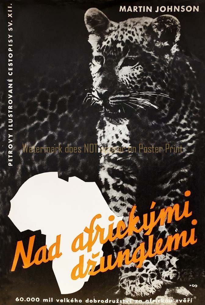 A black-and-white poster featuring a leopard, a silhouette of Africa, and the text