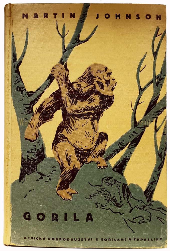 Book cover illustration showing a gorilla standing on a rocky hill in a forest, titled