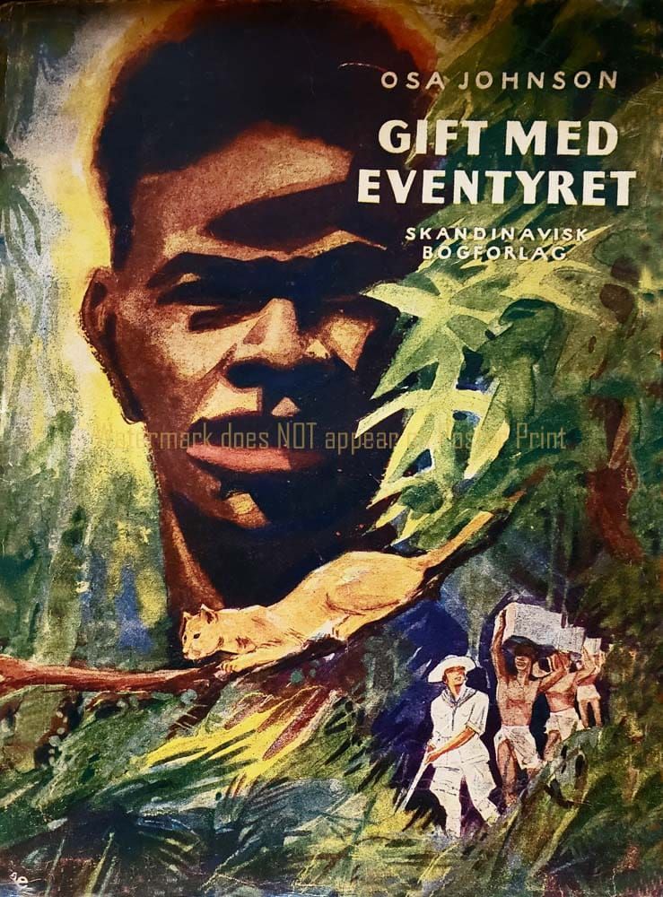 Book cover titled