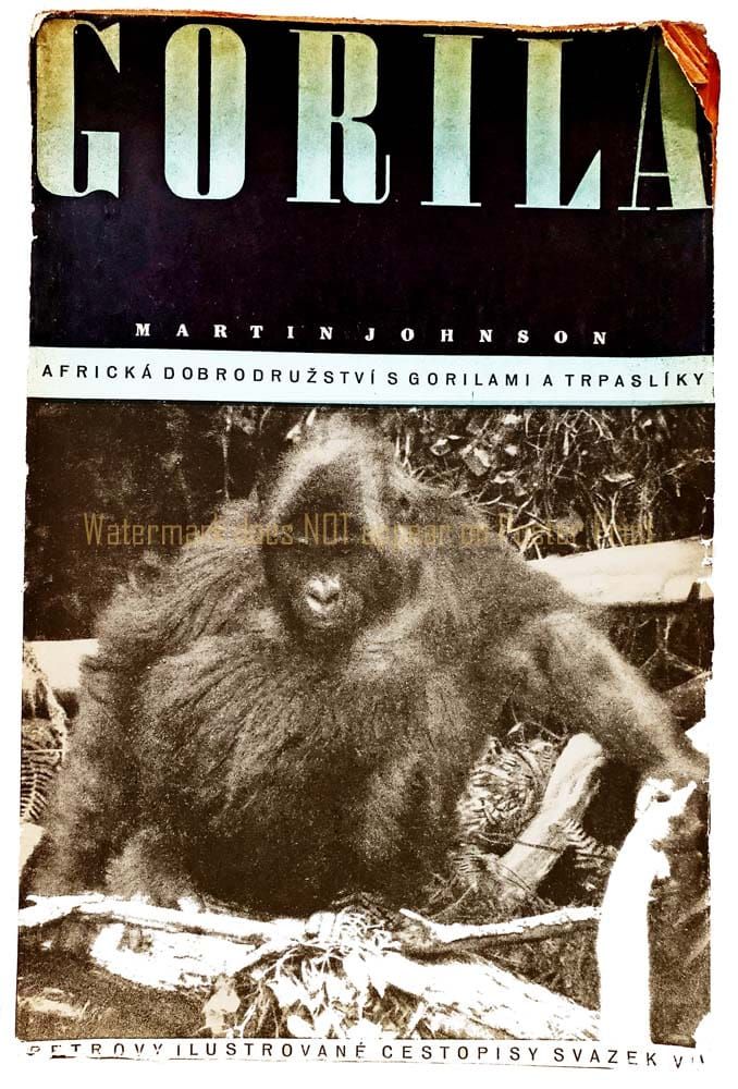 A vintage book cover titled