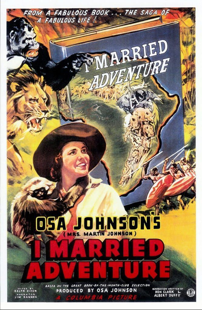 A vintage movie poster for 