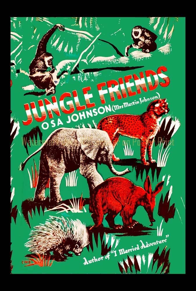 Book cover titled