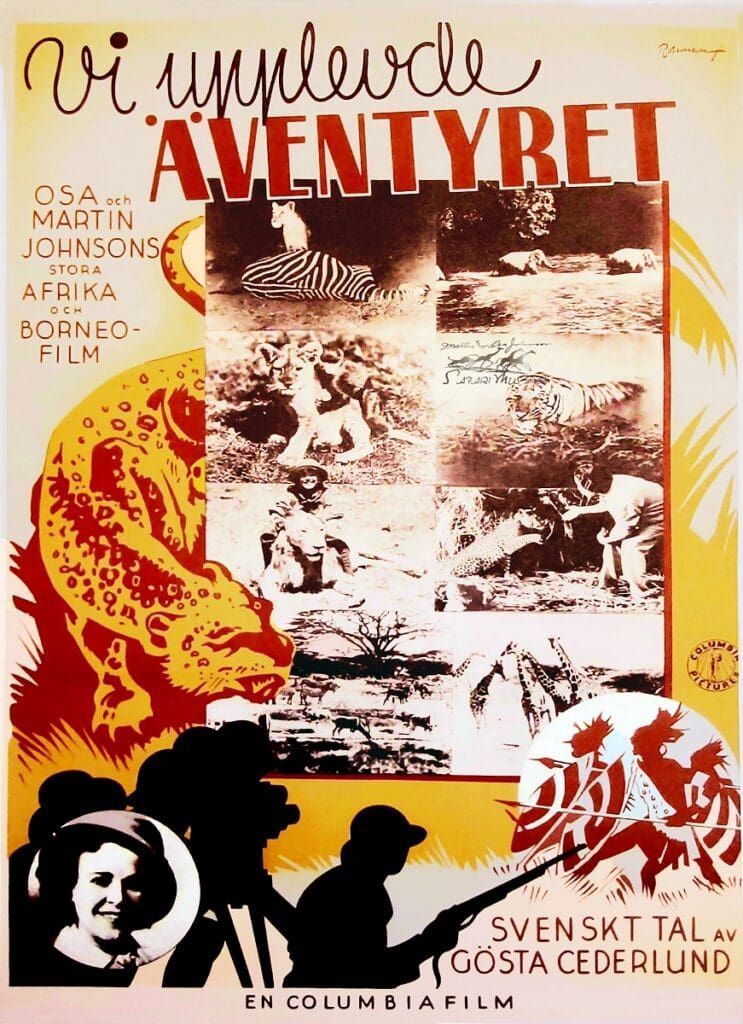 Vintage film poster for 