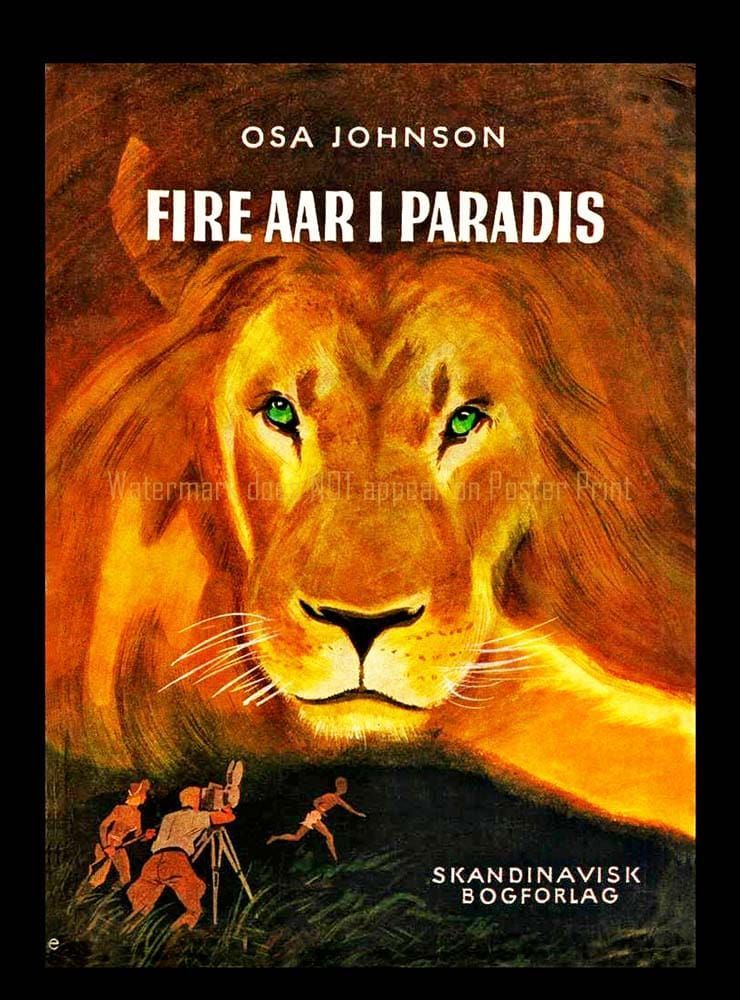 Book cover showing a large lion looking over two people filming with a camera and a person running in a grassy field.