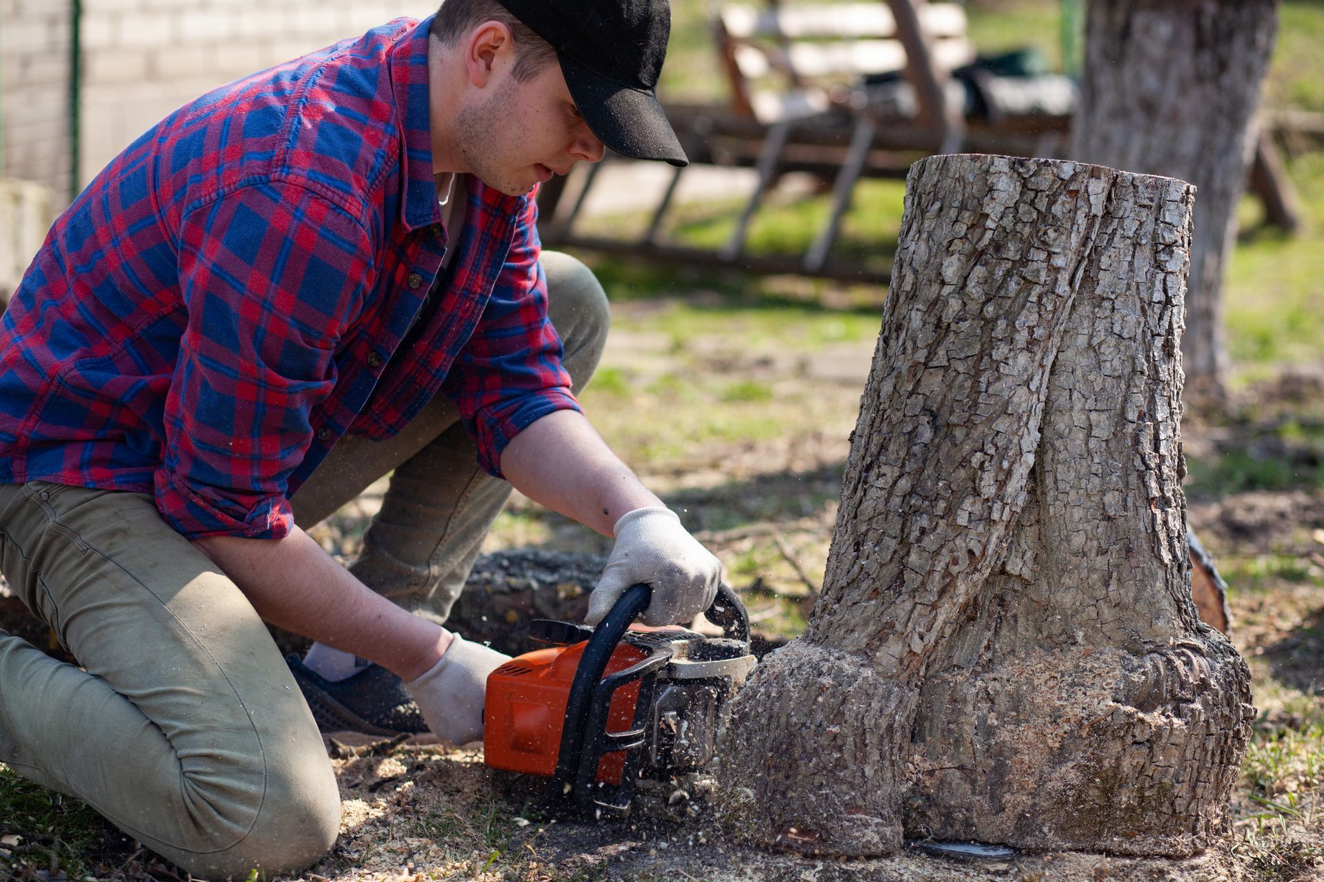 Worker Cuts The Stump With A Chainsaw - Benton City, WA - Aria Tree Service