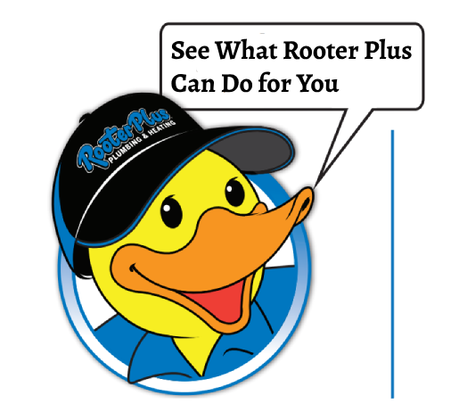 A yellow duck with a black hat says see what rooter plus can do for you