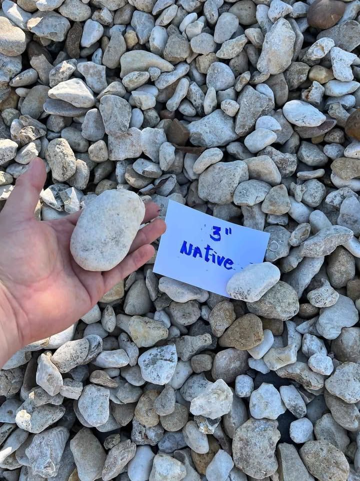 Hand holding a white rock over a pile of gray stones beside a note labeled “native”