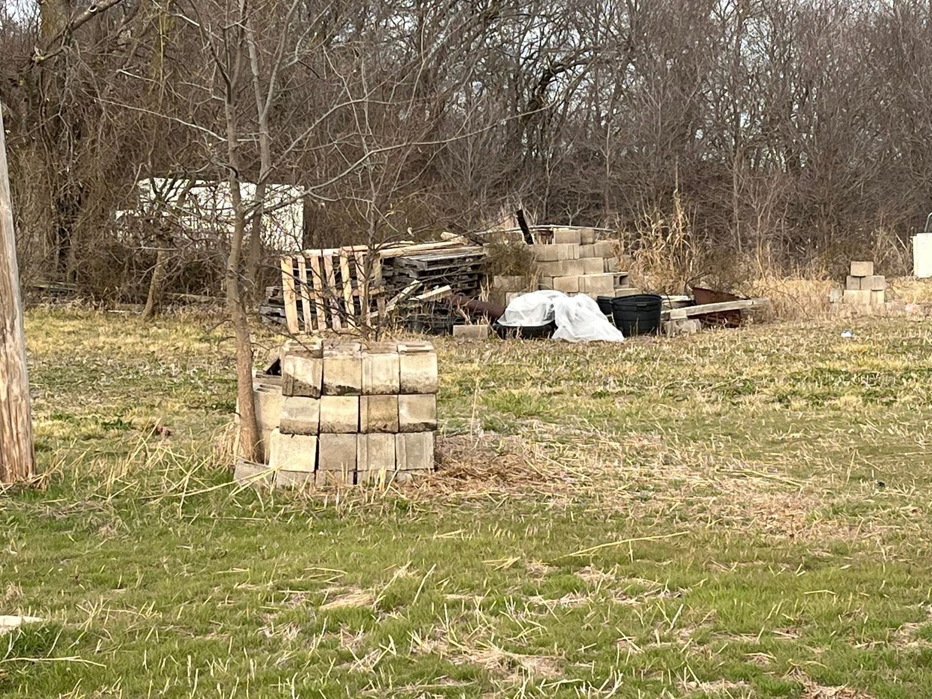 A grassy yard with a woodpile, stacked logs, and bare trees in the background.