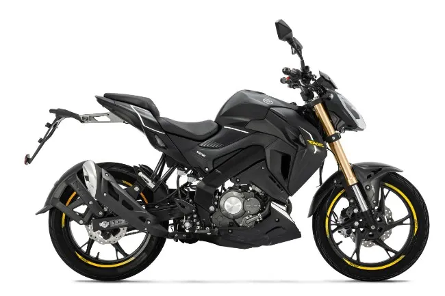 Motocicletta nera con dettagli dorati, vista laterale.