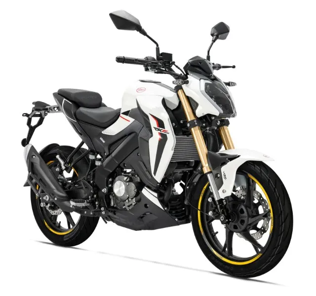 Motocicletta bianca e nera con dettagli dorati, rivolta verso destra.
