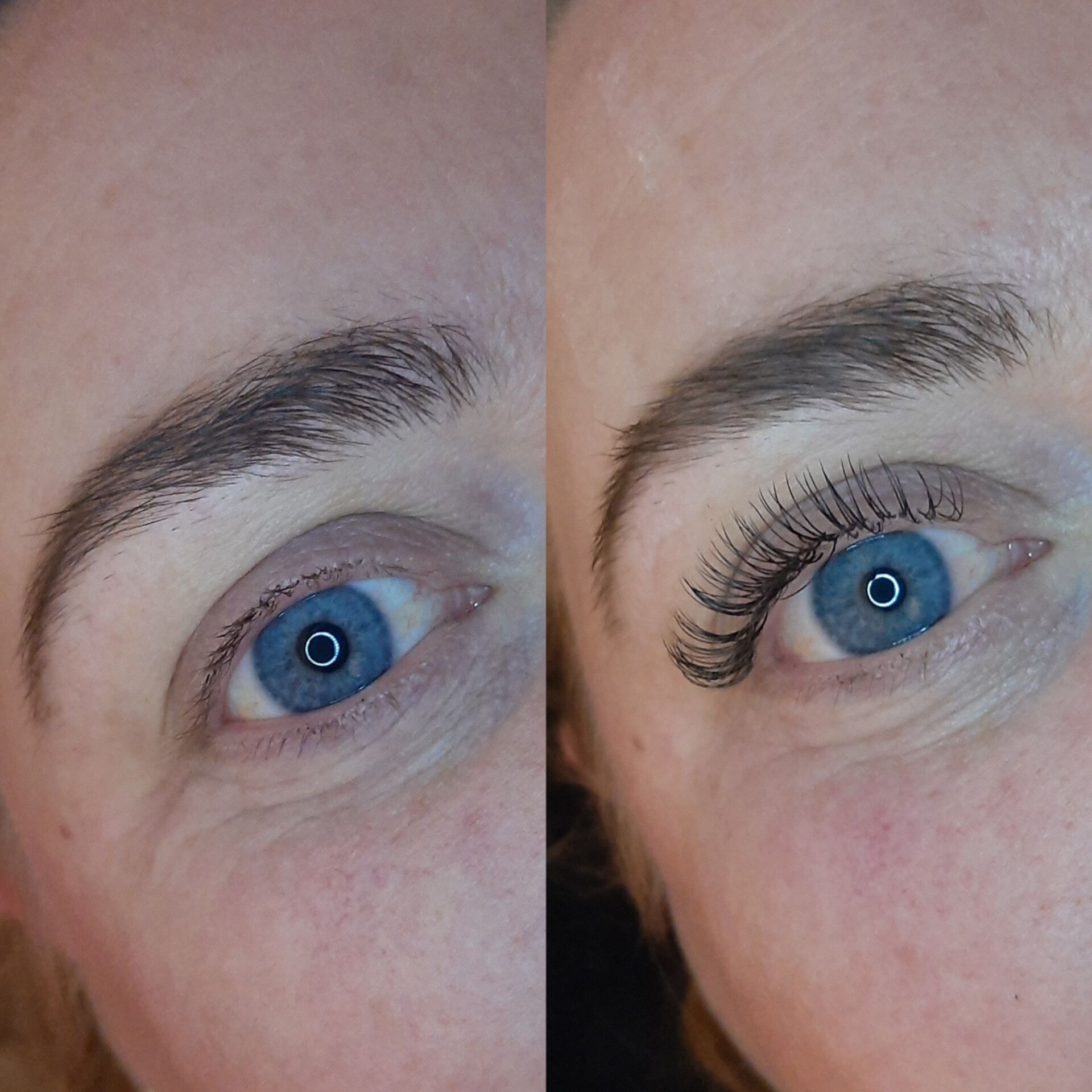 classic lashes