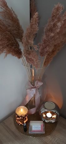 salon lash lifting