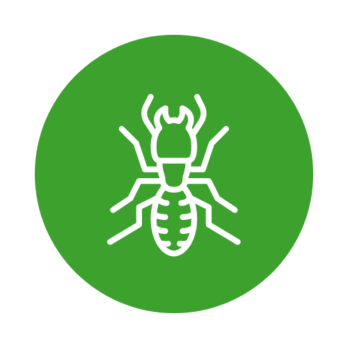 Diamond Pest Pro are the pest control professionals serving Eastern North & South Carolina. 