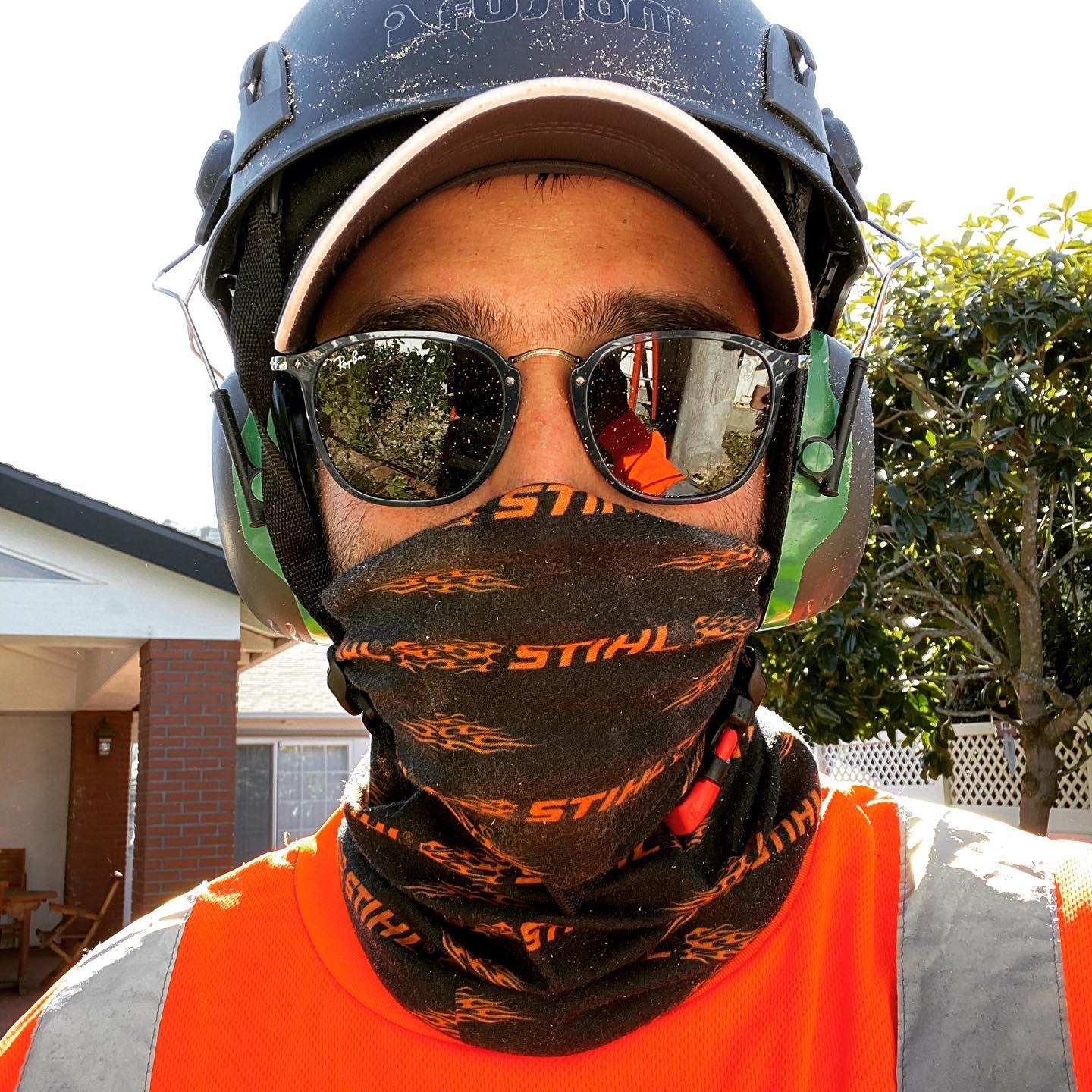 1 Tree Service San Diego CA Tree Removal San Diego CA