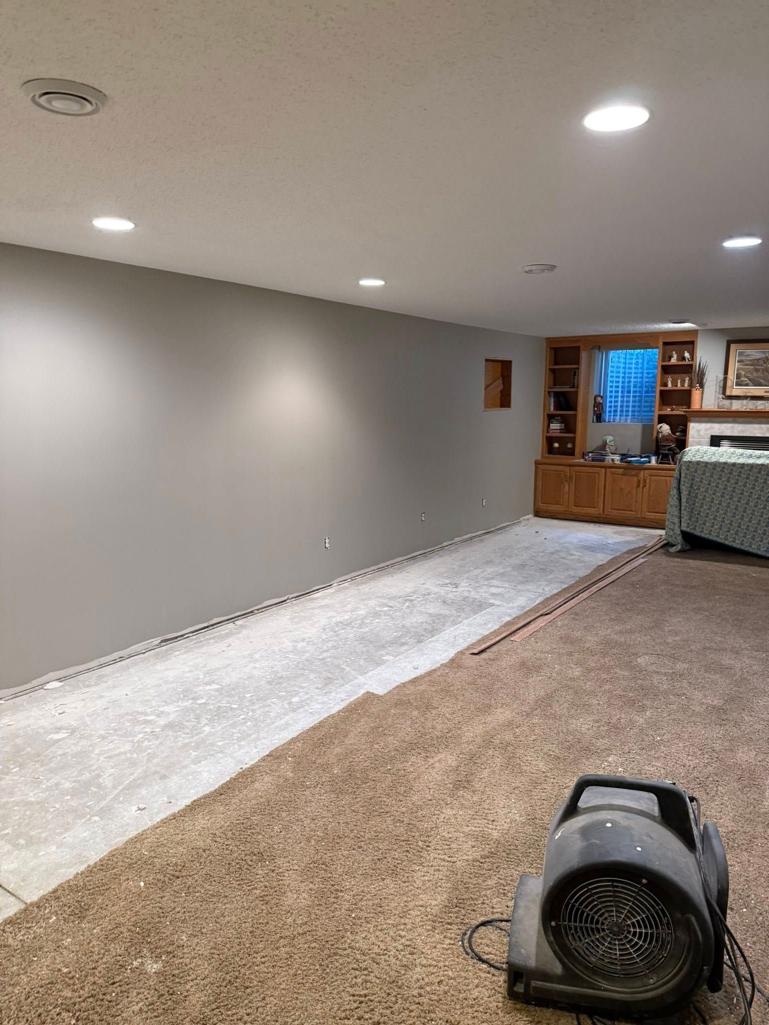 A basement room with gray walls and a brown carpet. A fan sits on the carpet near exposed flooring.