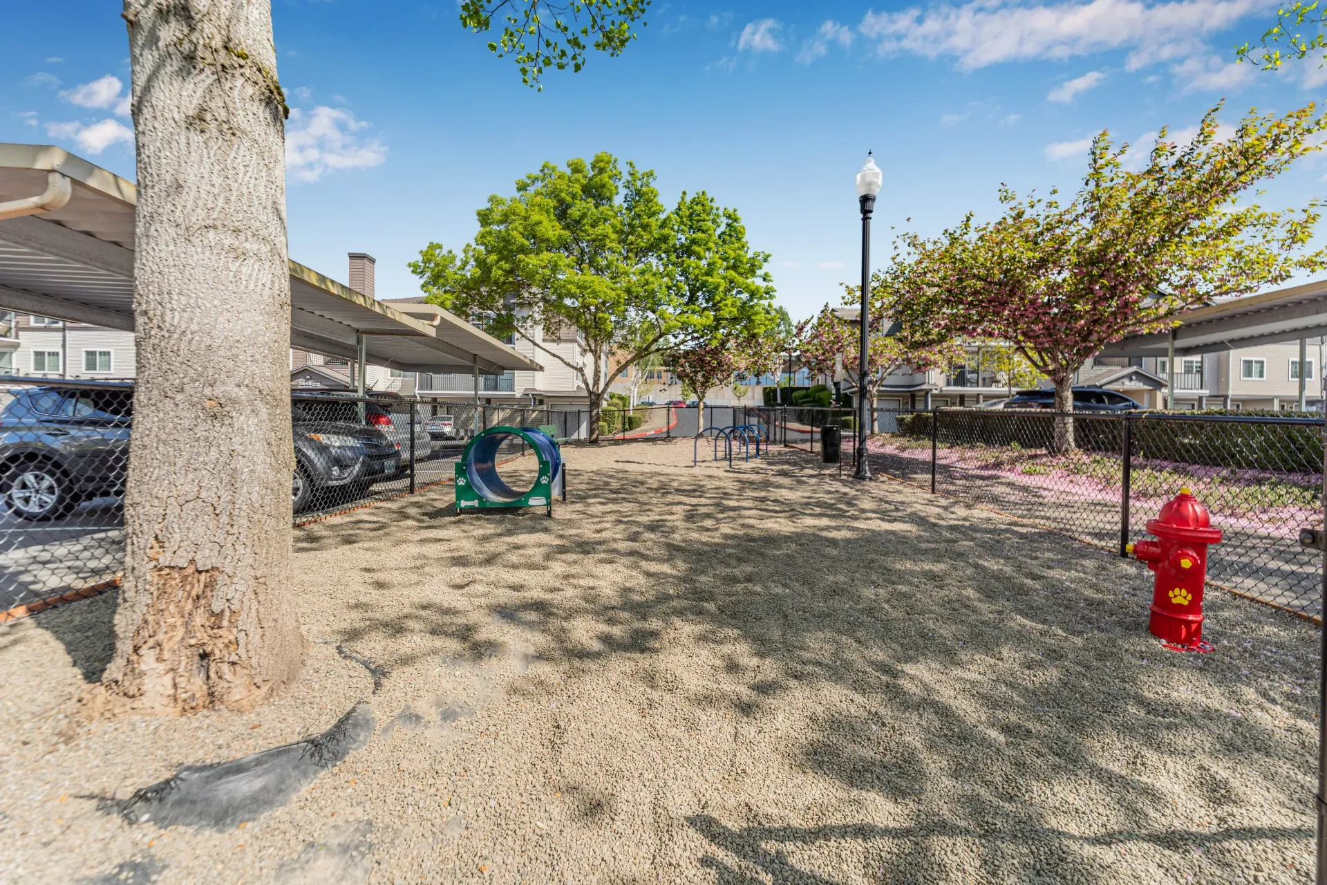 Dog park with agility equipment, chain-link fence, and covered parking.
