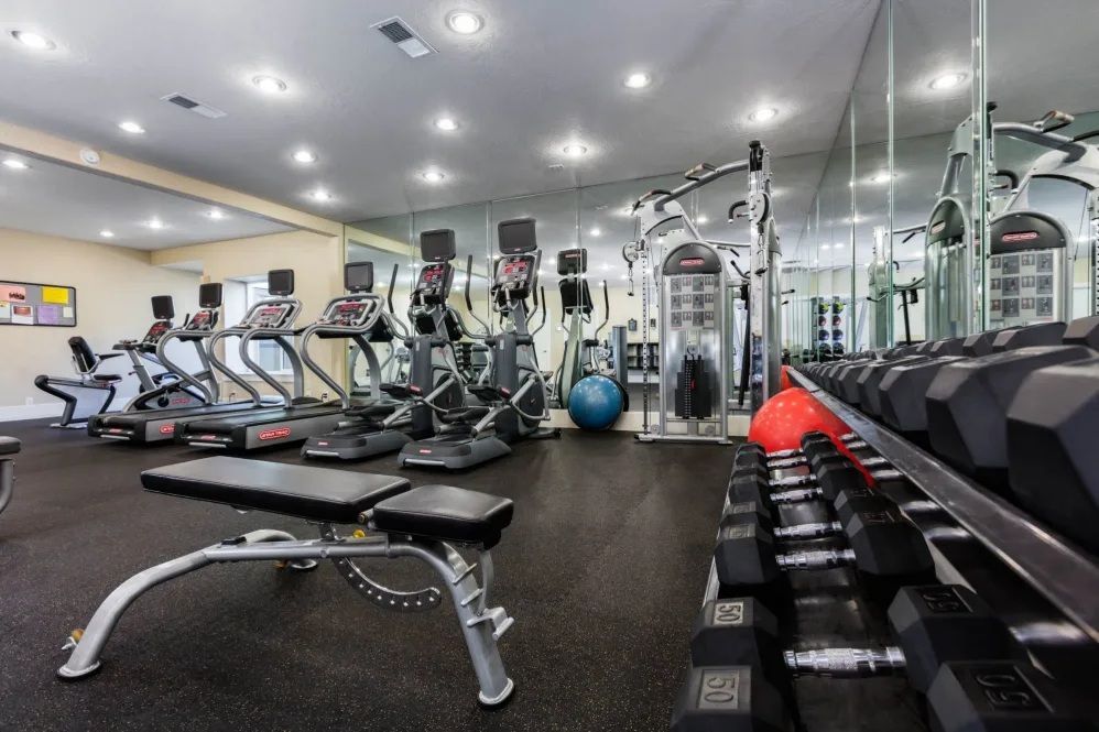 Gym interior with exercise equipment: treadmills, ellipticals, weights, bench, and mirrors.