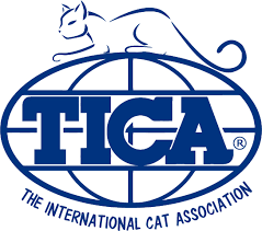 TICA