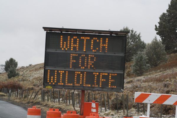 Roadside electronic sign reading “WATCH FOR WILDLIFE” beside orange barricades in a snowy area