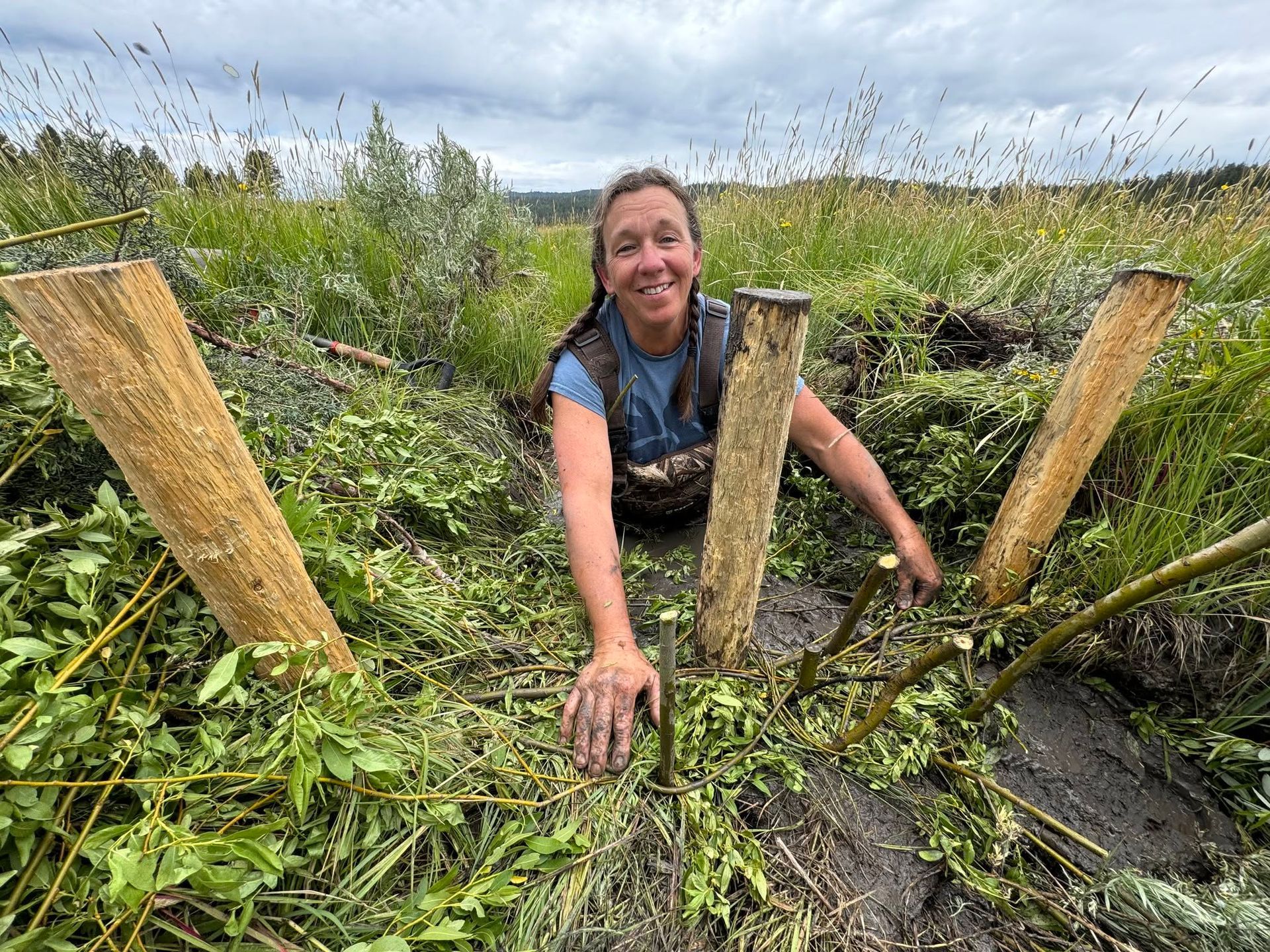 Person kneeling in muddy field, planting young saplings between wooden stakes under cloudy sky