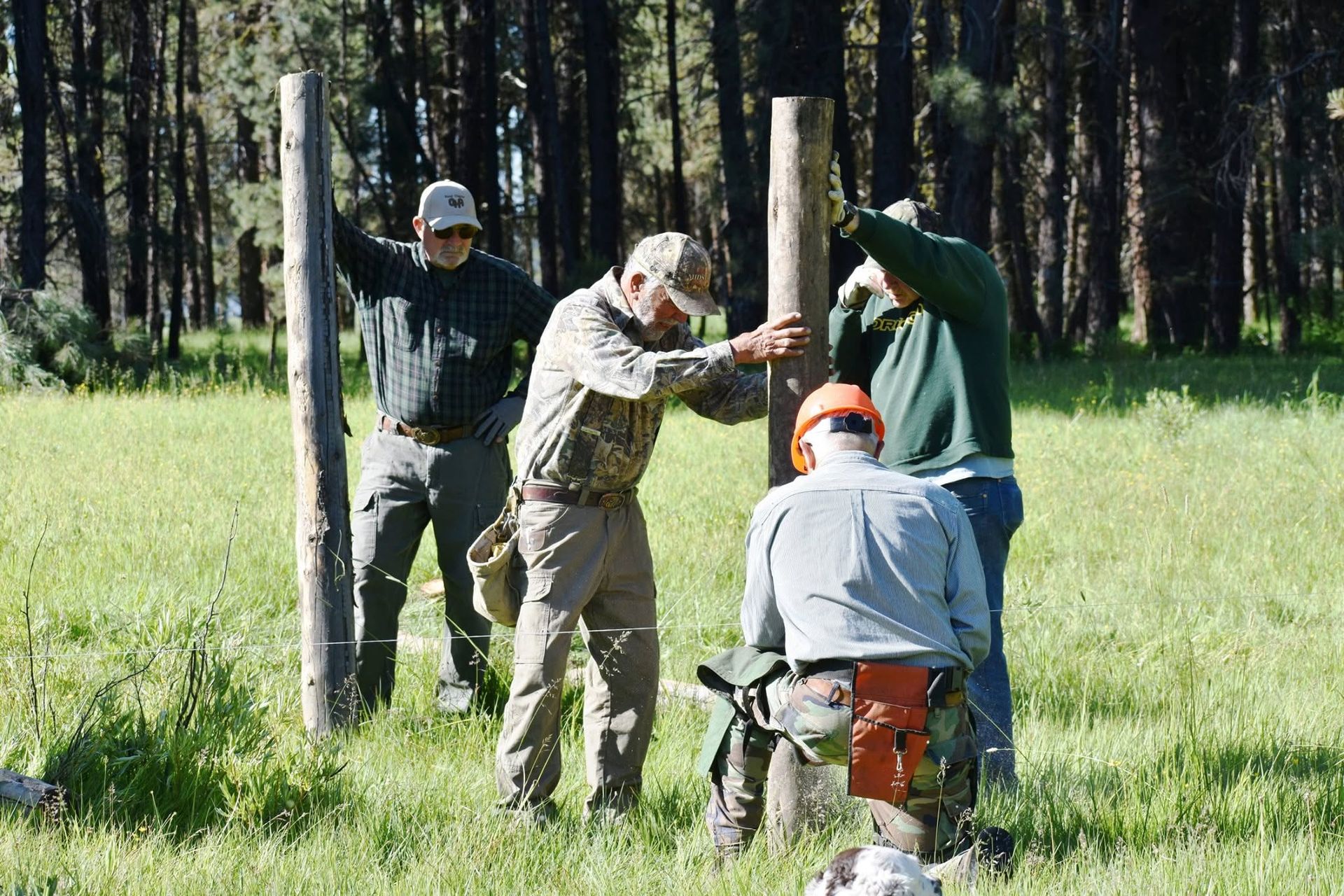 Four people in hard hats work together around a wooden post in a grassy field near trees.