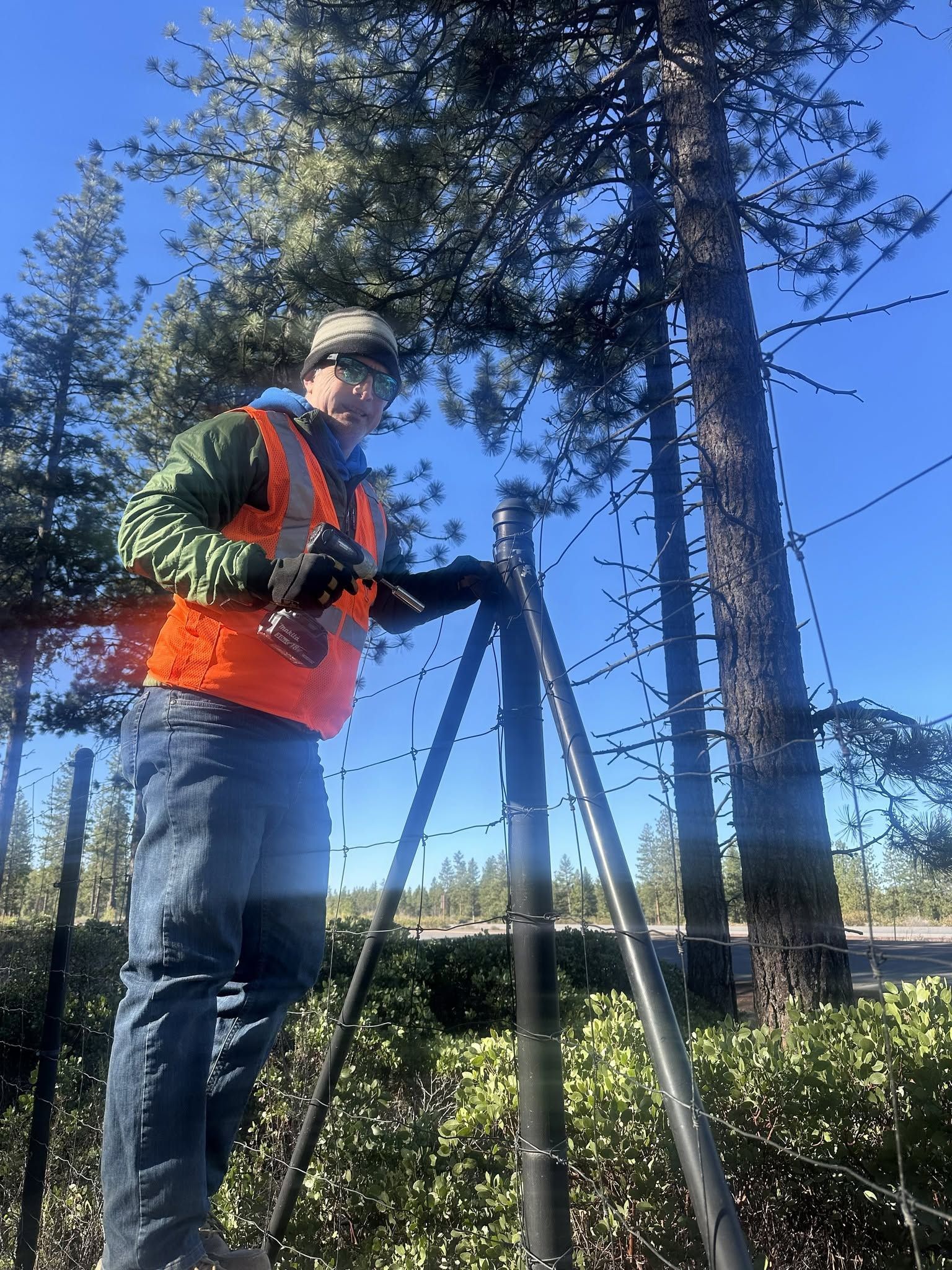 Worker in orange safety vest using surveying equipment outdoors near tall trees and power lines.