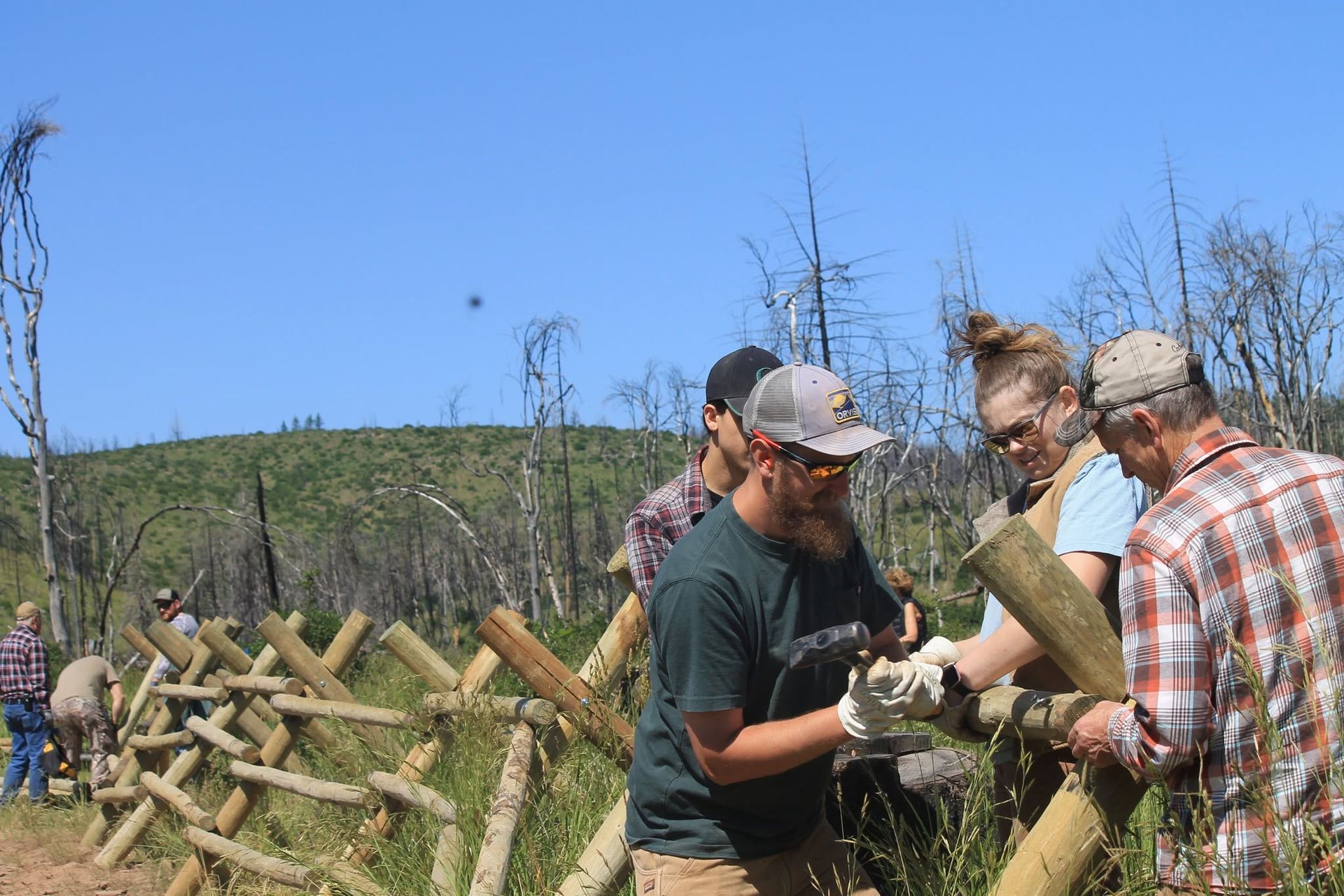 People working outdoors building a wooden fence on a sunny day