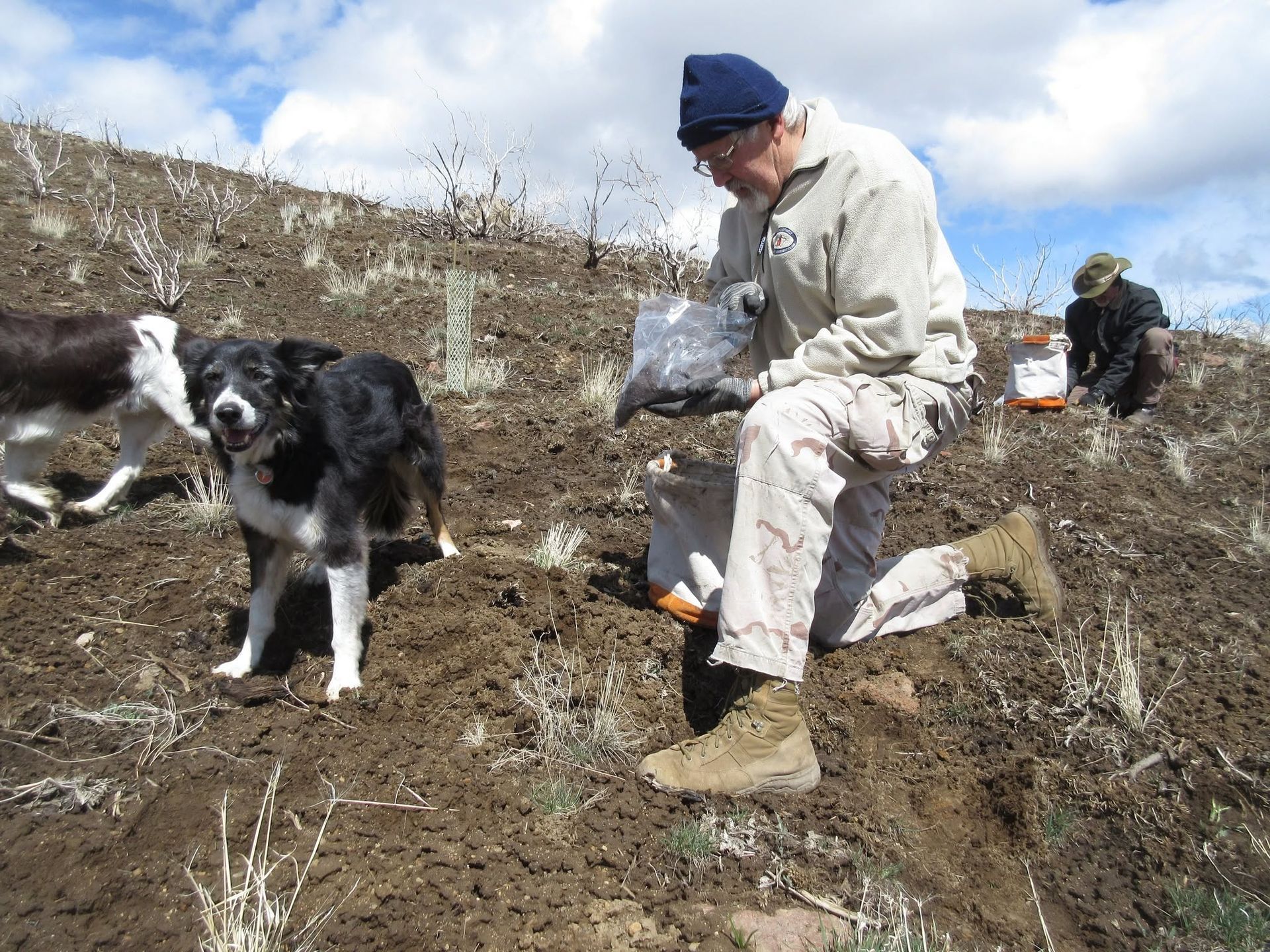 Person in light jacket and blue hat sits on a snowy hillside with two black-and-white dogs.