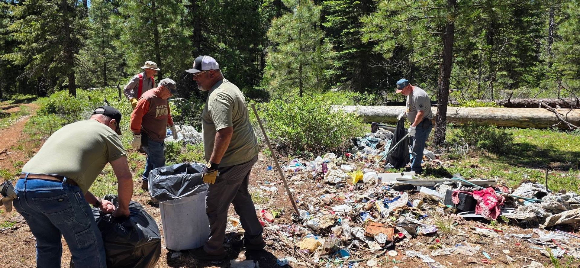 People sorting trash into bags at an outdoor cleanup site in a wooded area
