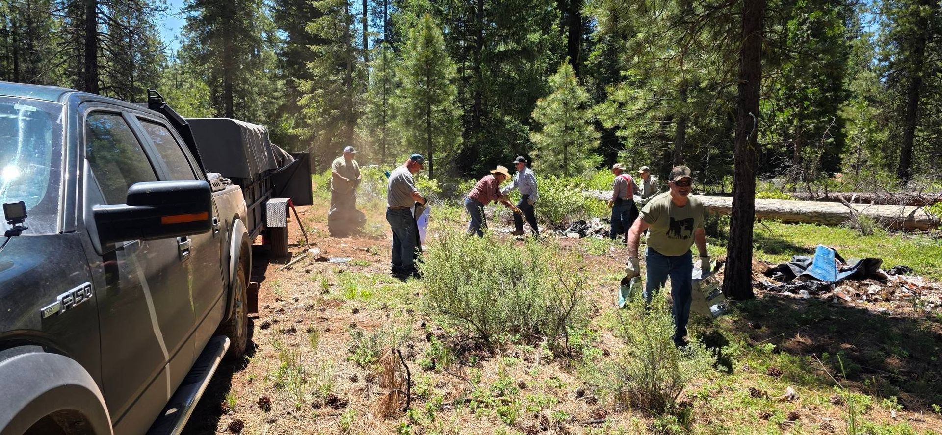 People working outdoors beside parked trucks in a forest clearing, gathering or clearing vegetation.